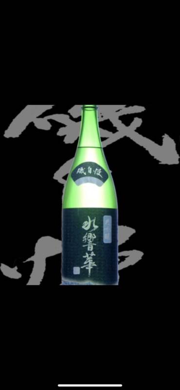 磯自慢水響華大吟釀 Bnf Winecellar